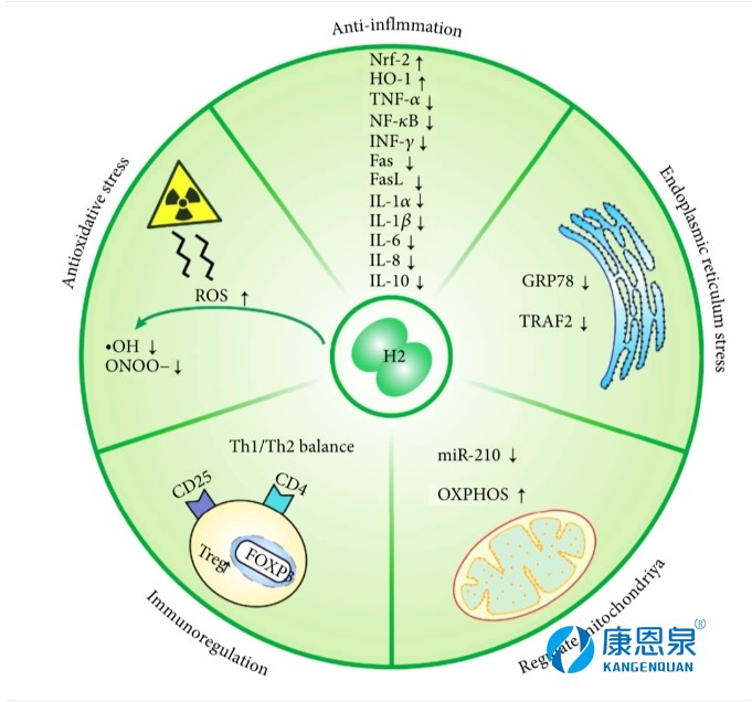 微信截图_20240408153552.png